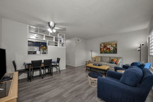 Living Room 1
