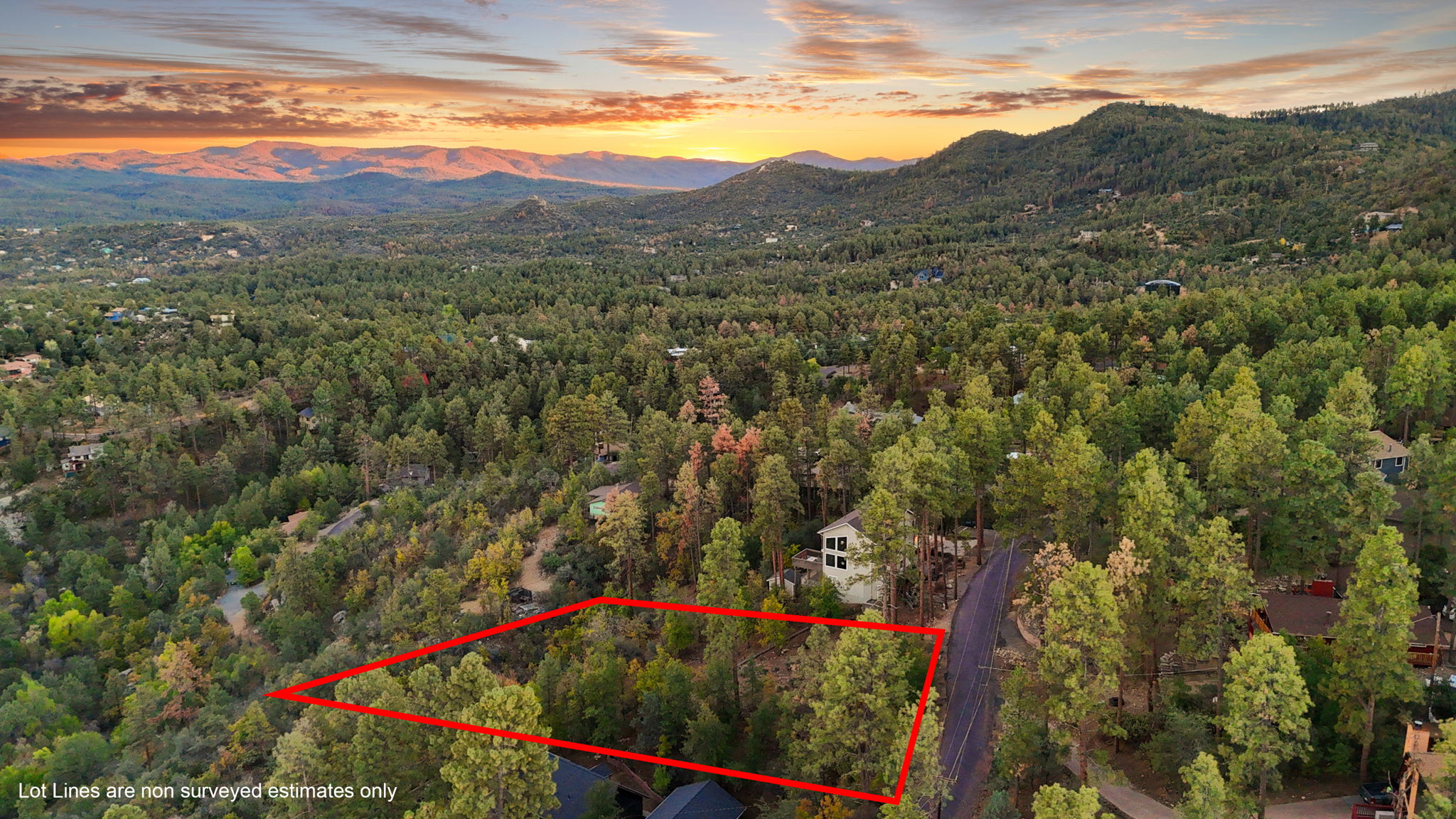 Aerial 4 Lot Lines