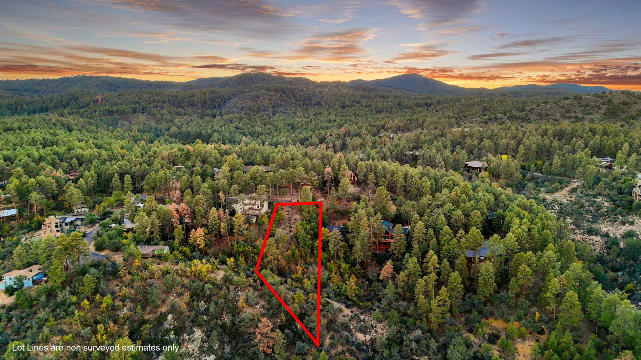 Aerial 1 Lot Lines
