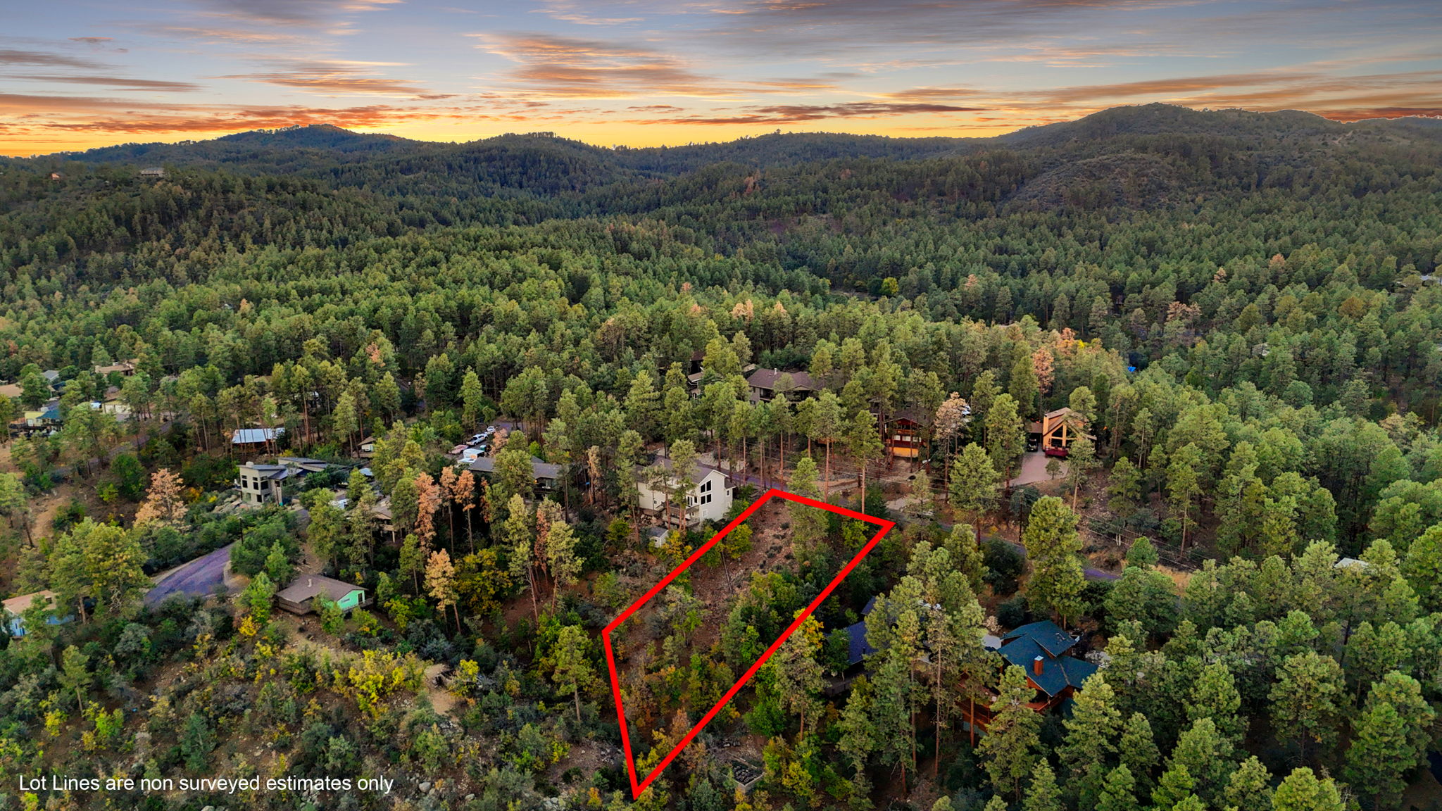 Aerial 2 Lot Lines