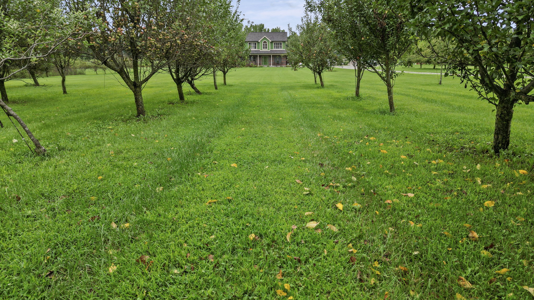  Photo 23