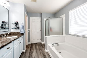 Primary bathroom. New LVP flooring throughout the home!
