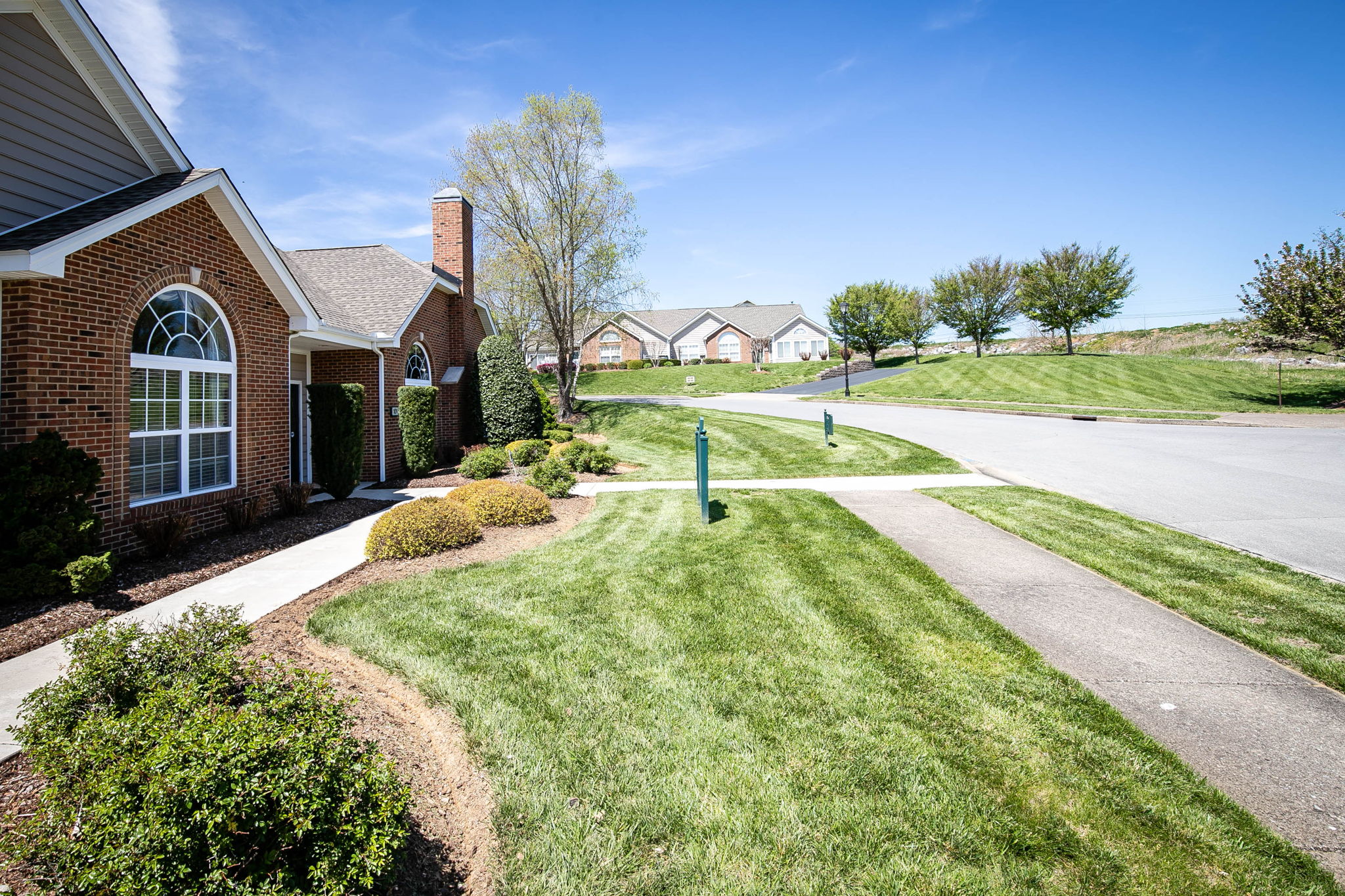 238 Avonlea Pl, Johnson City, TN 37604 HomeSelfies