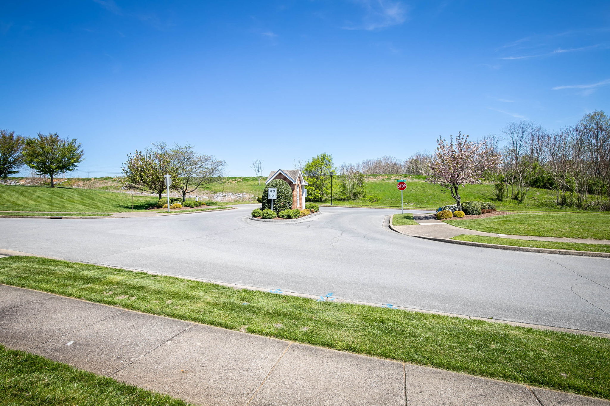 238 Avonlea Pl, Johnson City, TN 37604 HomeSelfies