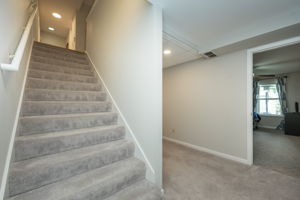  Photo 39