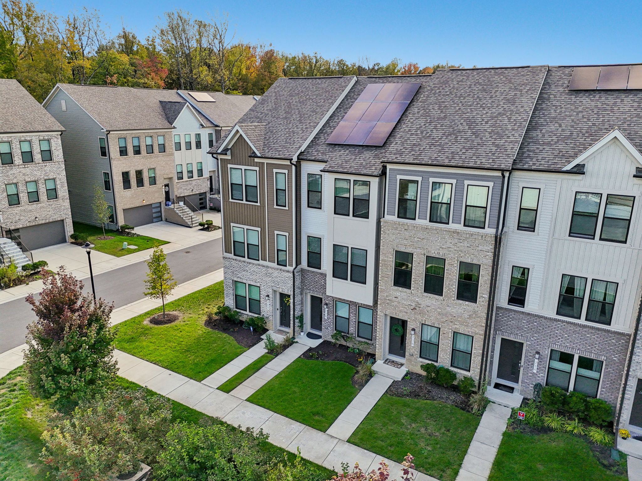 Narrowleaf Way-S1610-030