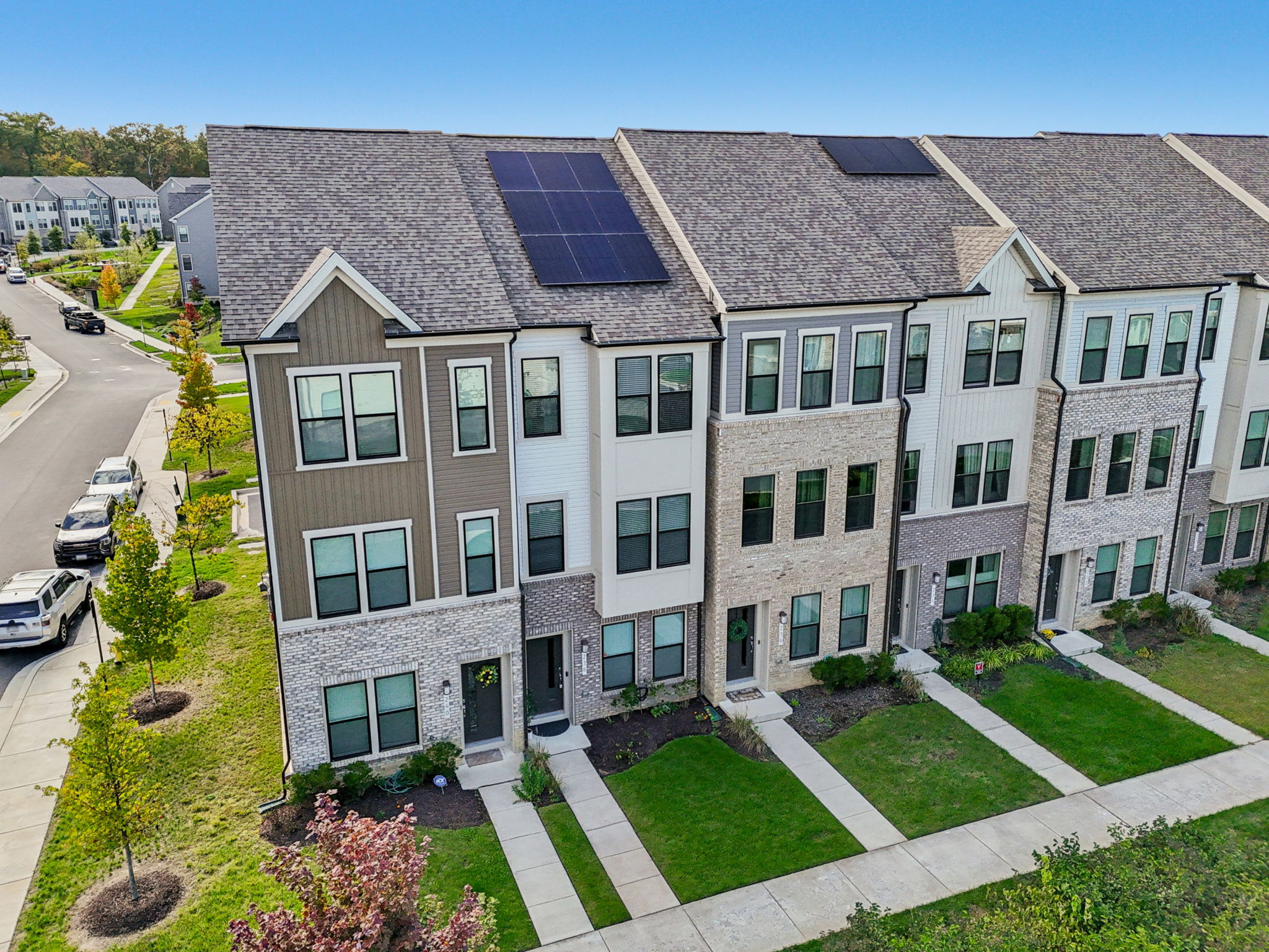 Narrowleaf Way-S1610-031