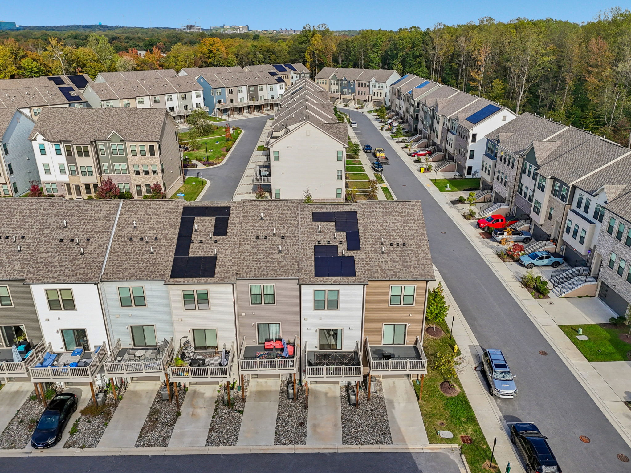 Narrowleaf Way-S1610-033