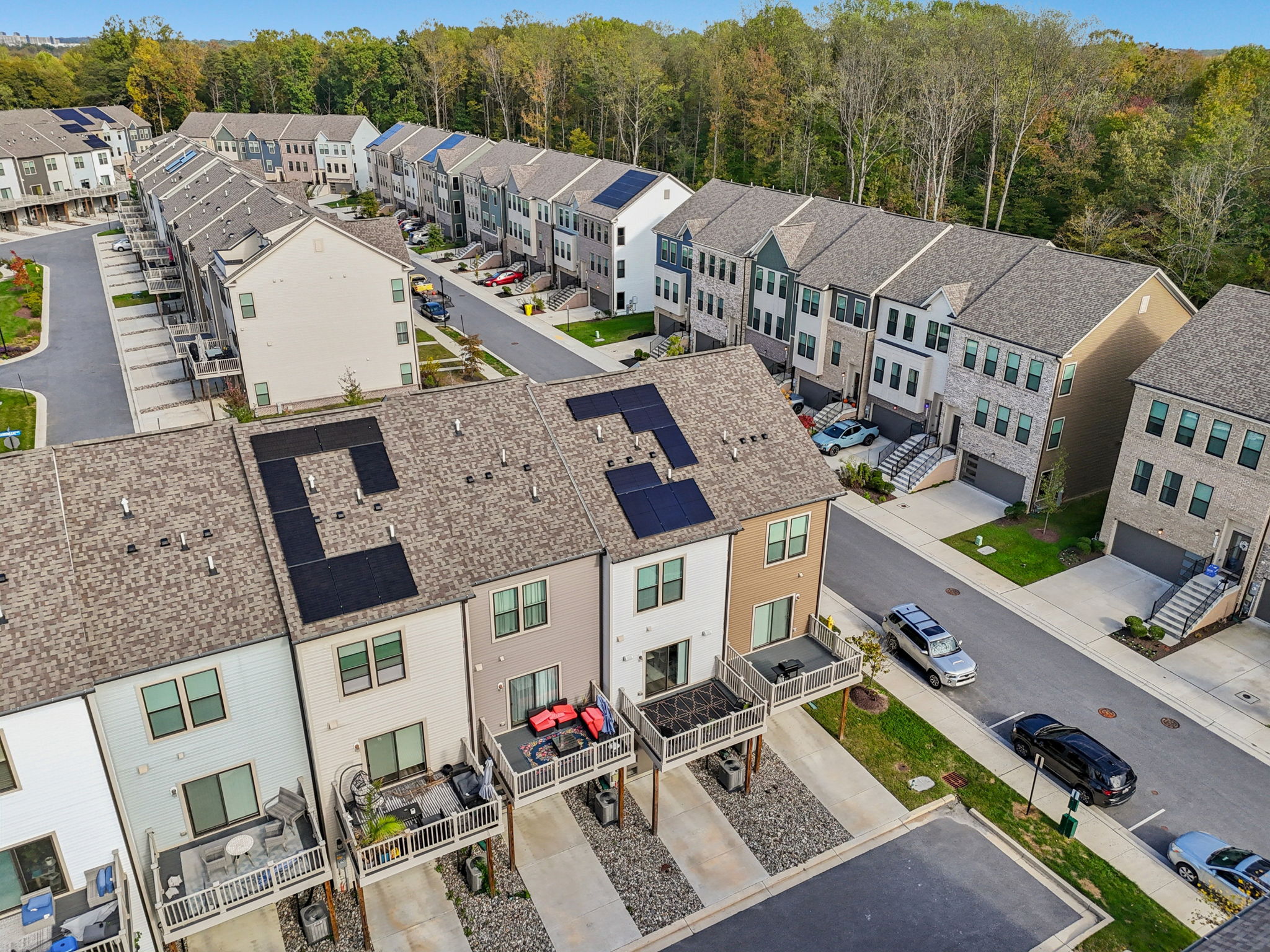 Narrowleaf Way-S1610-035