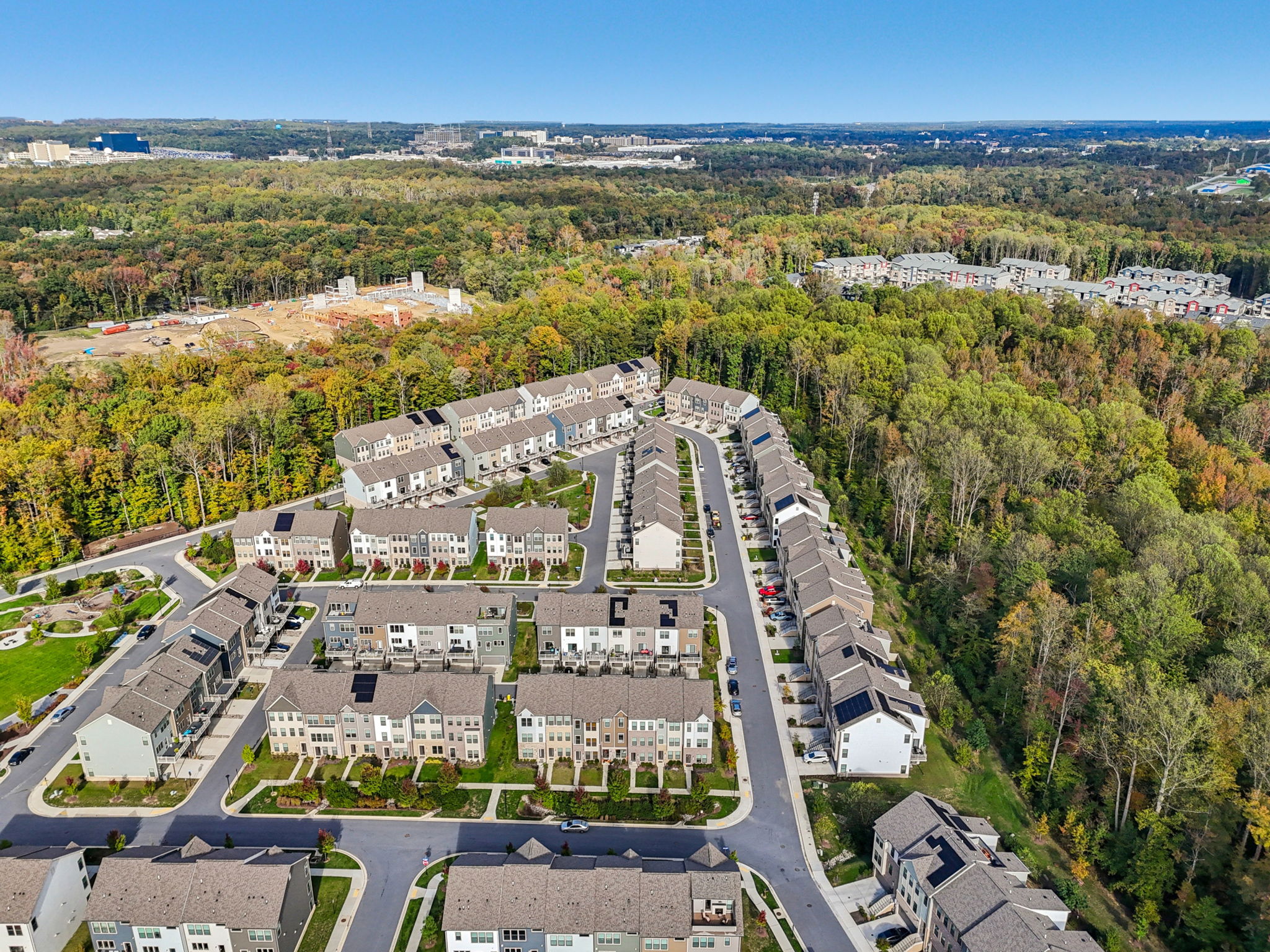 Narrowleaf Way-S1610-036