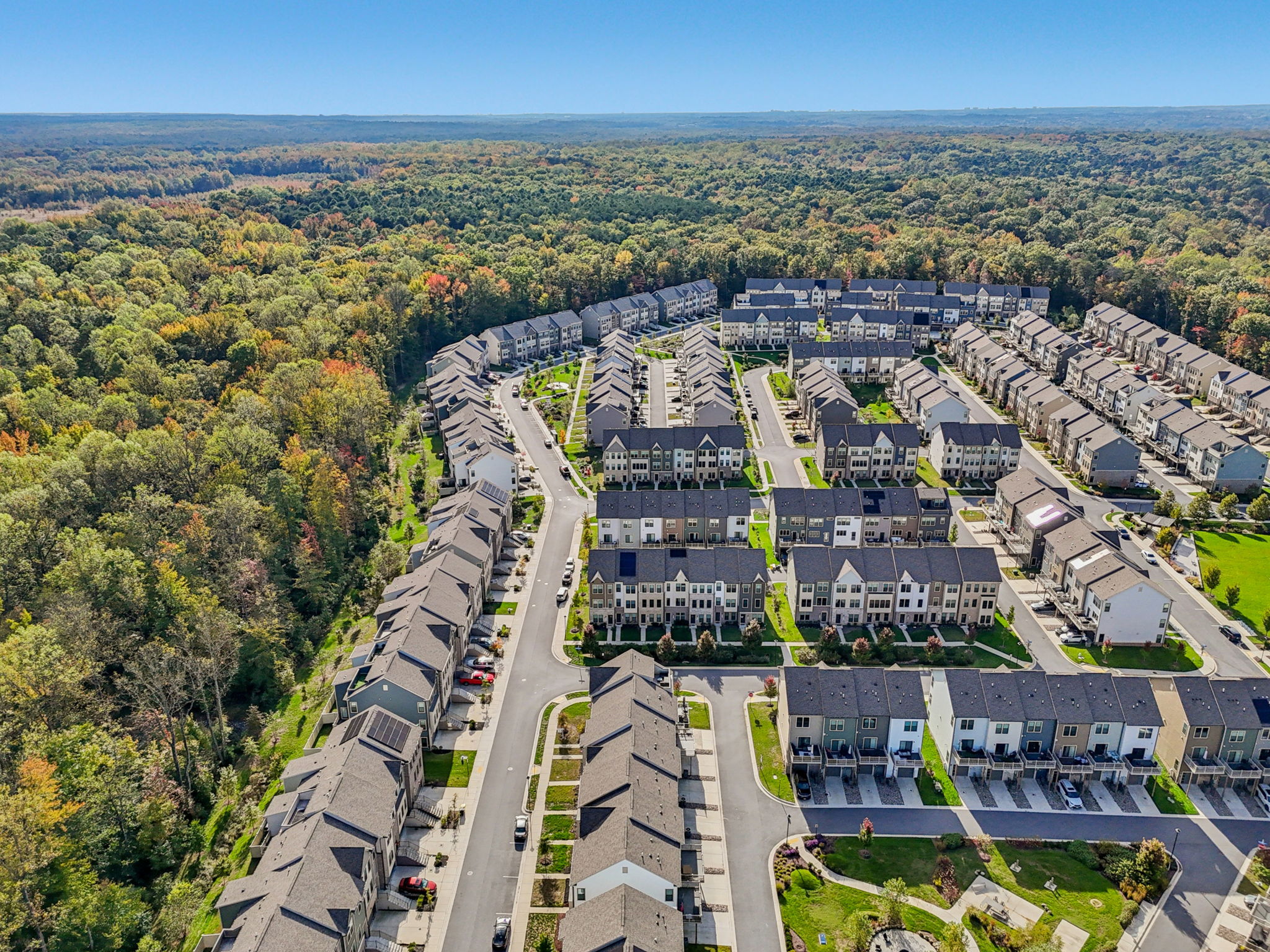 Narrowleaf Way-S1610-037