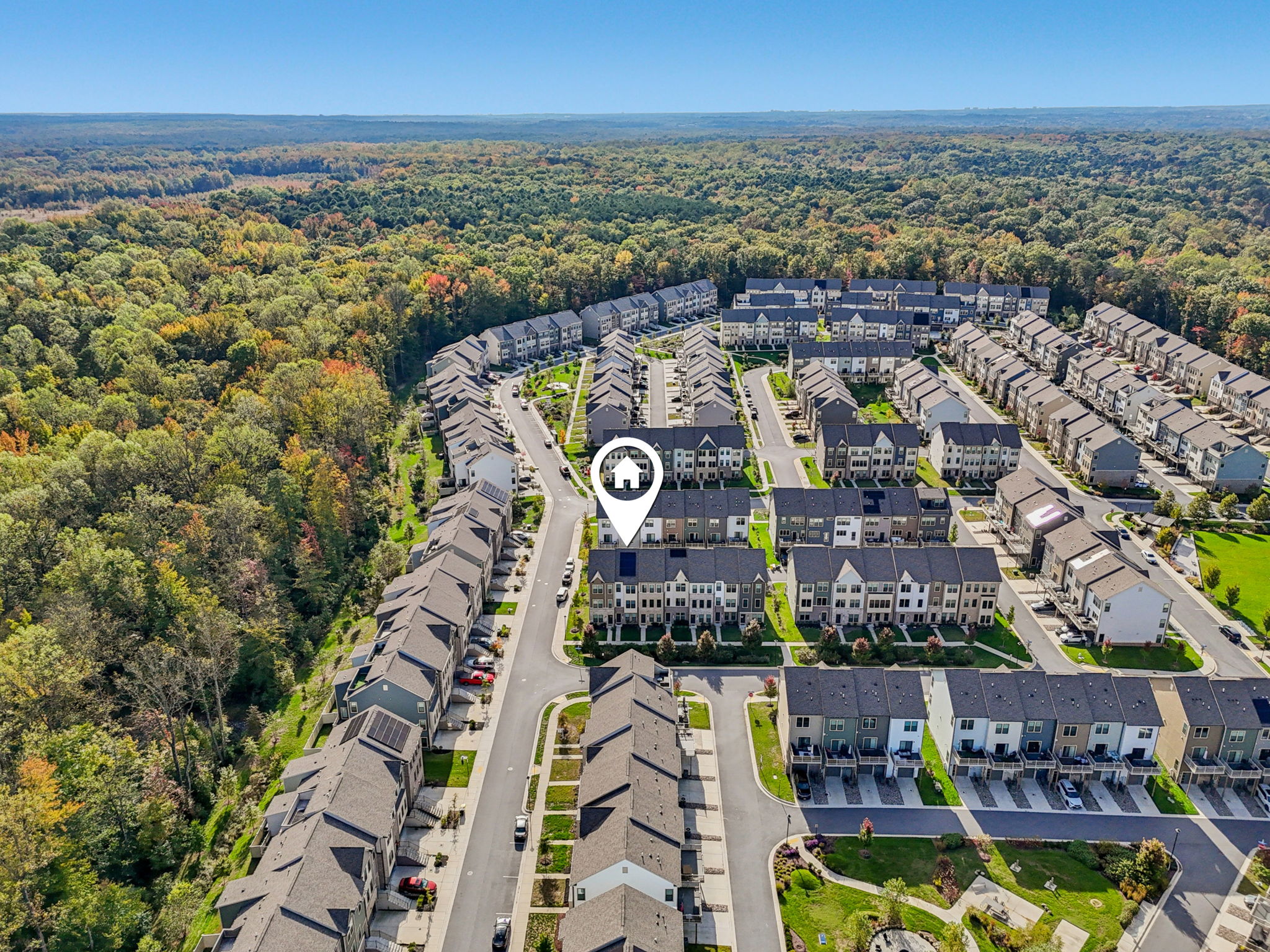 Narrowleaf Way-S1610-038