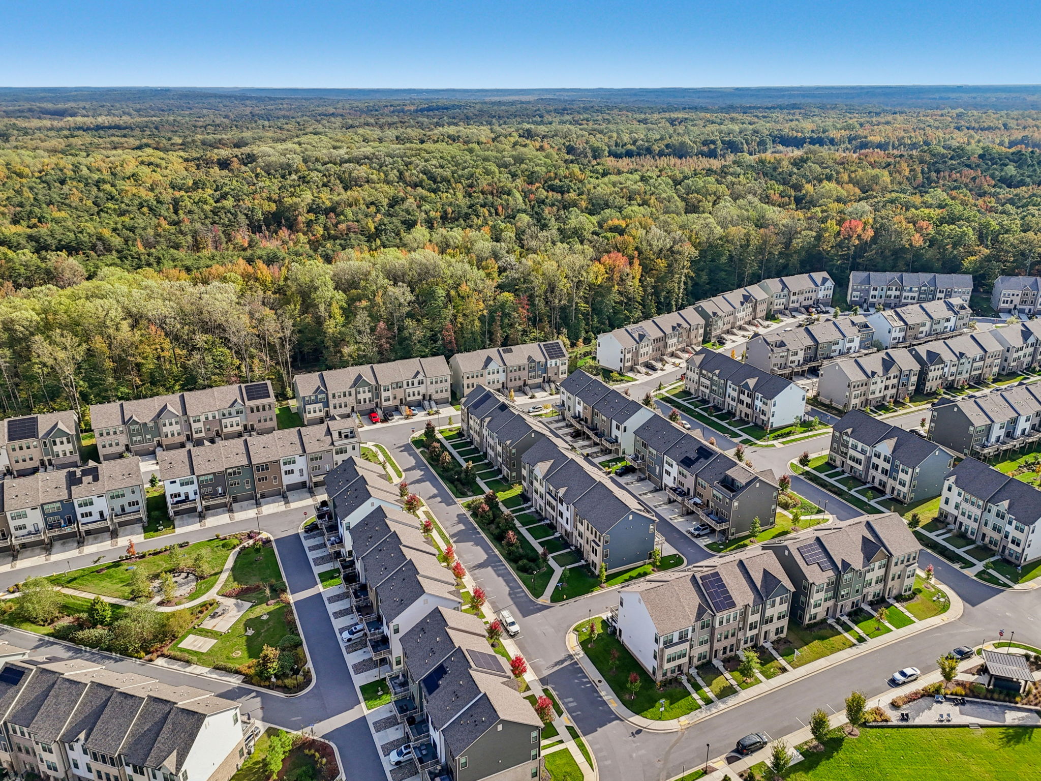 Narrowleaf Way-S1610-039