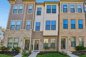 Narrowleaf Way-S1610-001