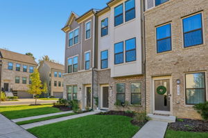 Narrowleaf Way-S1610-002