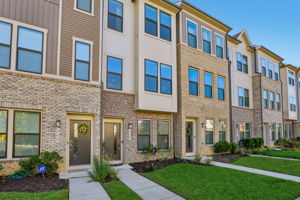 Narrowleaf Way-S1610-003