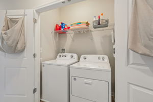 Narrowleaf Way-S1610-015