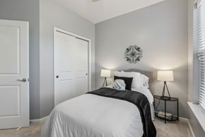 Narrowleaf Way-S1610-017