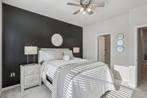 Narrowleaf Way-S1610-022