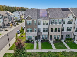 Narrowleaf Way-S1610-029