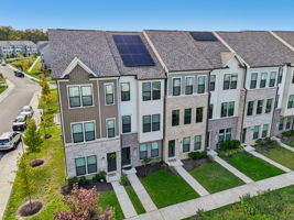 Narrowleaf Way-S1610-031