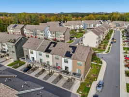 Narrowleaf Way-S1610-034