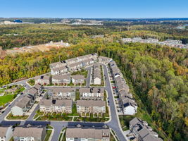 Narrowleaf Way-S1610-036