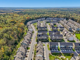 Narrowleaf Way-S1610-037