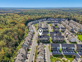 Narrowleaf Way-S1610-038