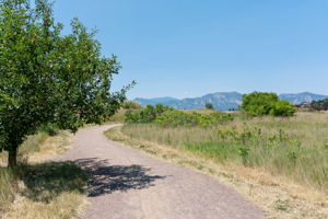  Photo 50