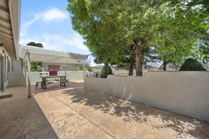 Back Patio 2