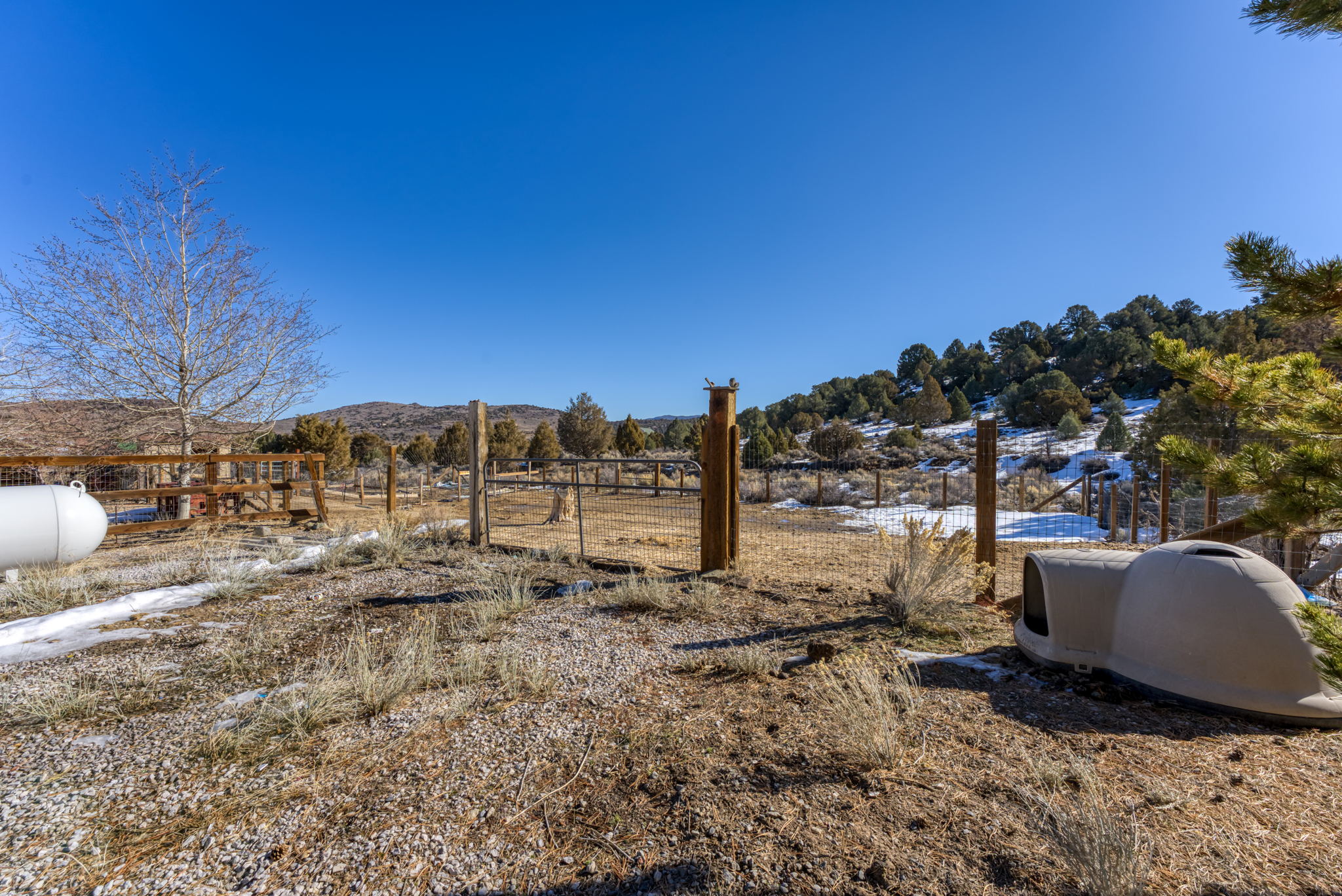 2381 Lousetown Rd, Reno, NV 89521, USA Photo 35