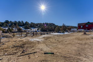 2381 Lousetown Rd, Reno, NV 89521, USA Photo 41