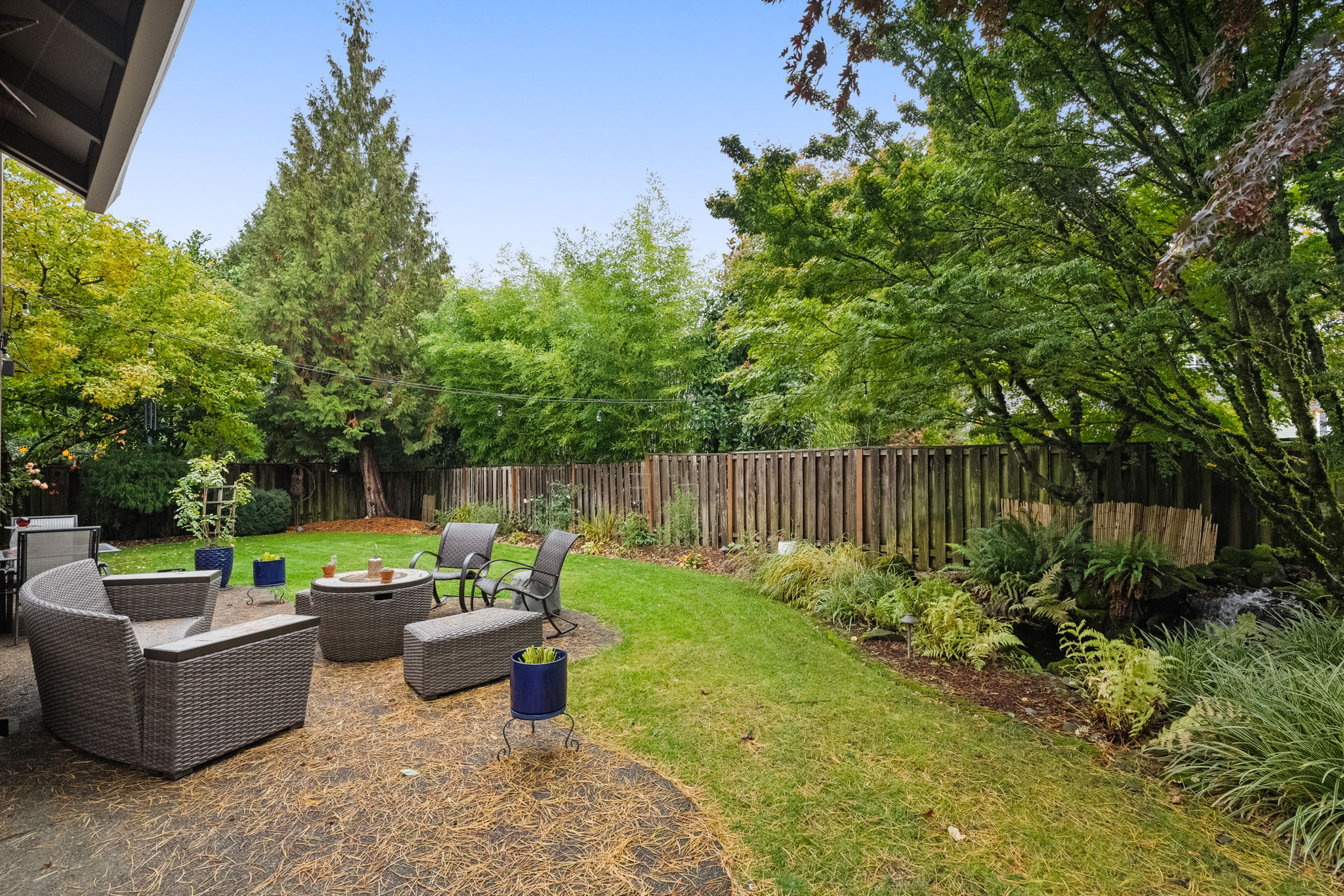 Backyard - Fully fenced