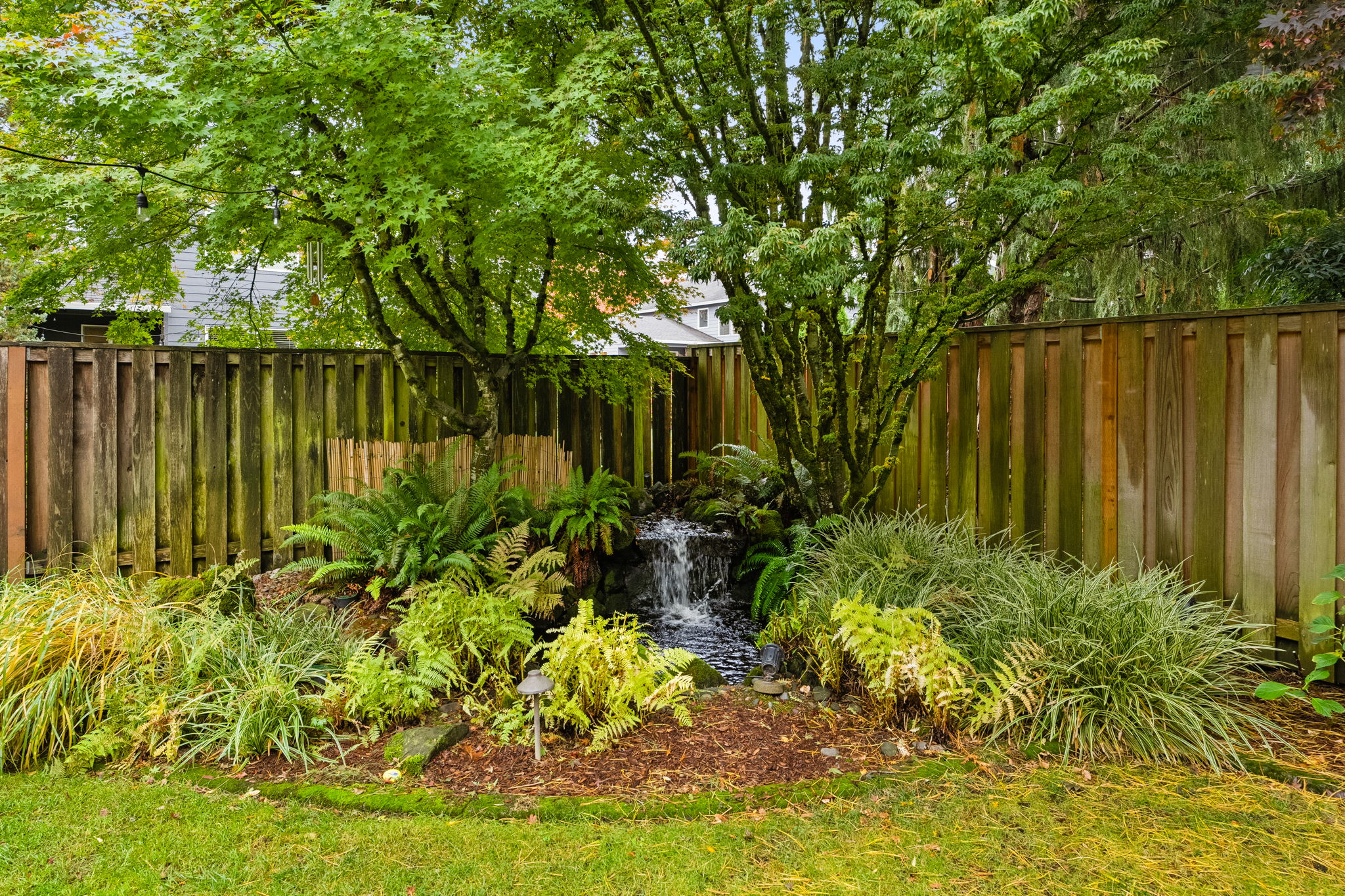 Backyard - Water feature