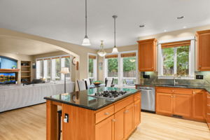 Kitchen - Cook's island