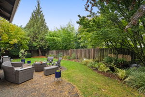 Backyard - Fully fenced