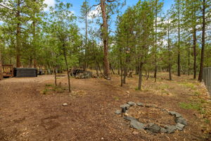  Photo 39