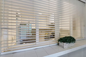 011_F8_2386 Balme Dr