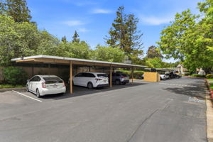 031_F8_2386 Balme Dr