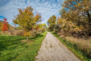  Photo 79