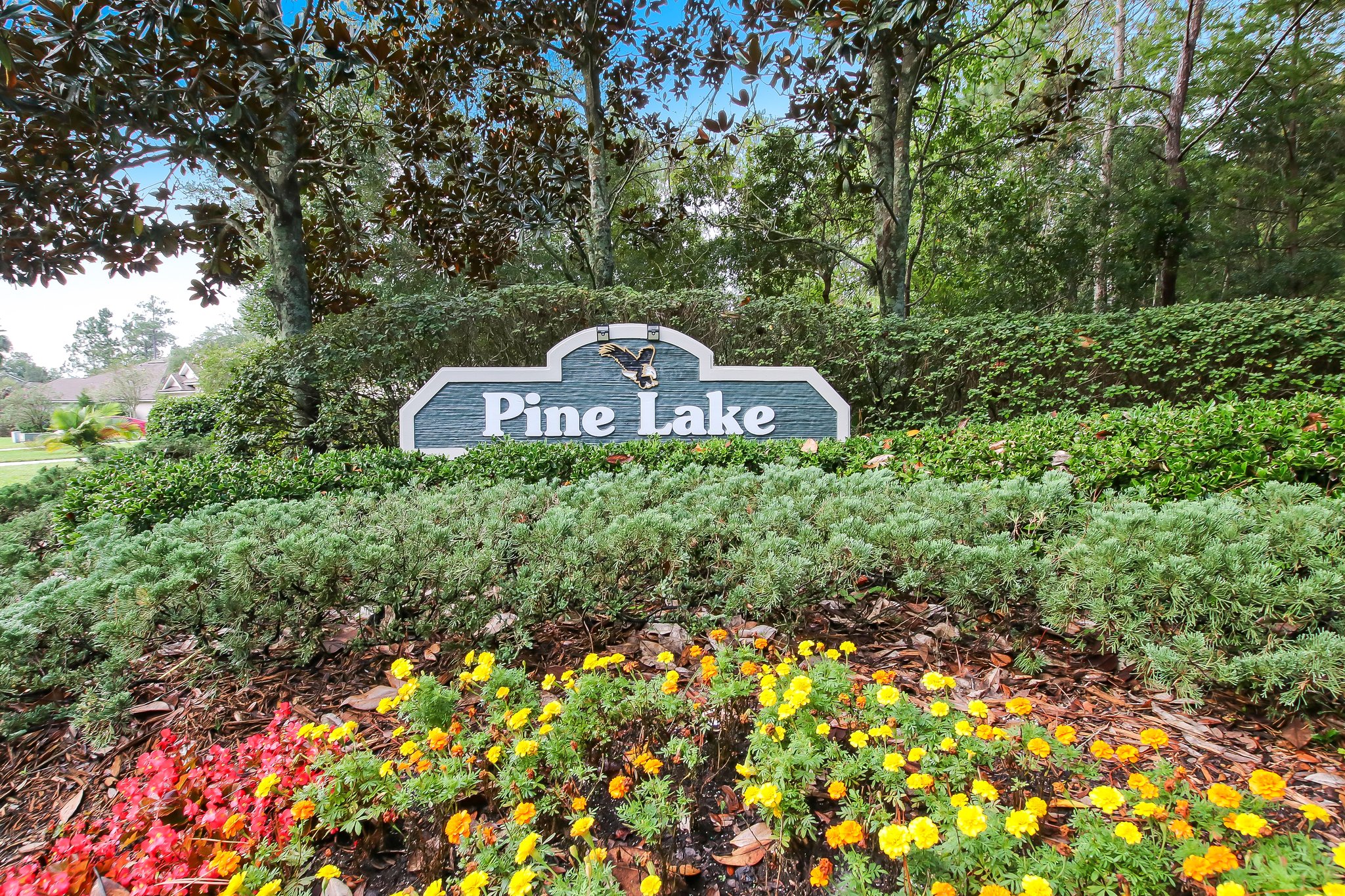 Pine Lake