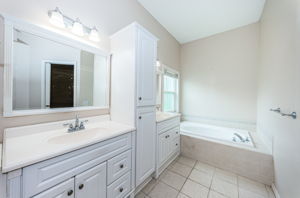 Master Bathroom1a