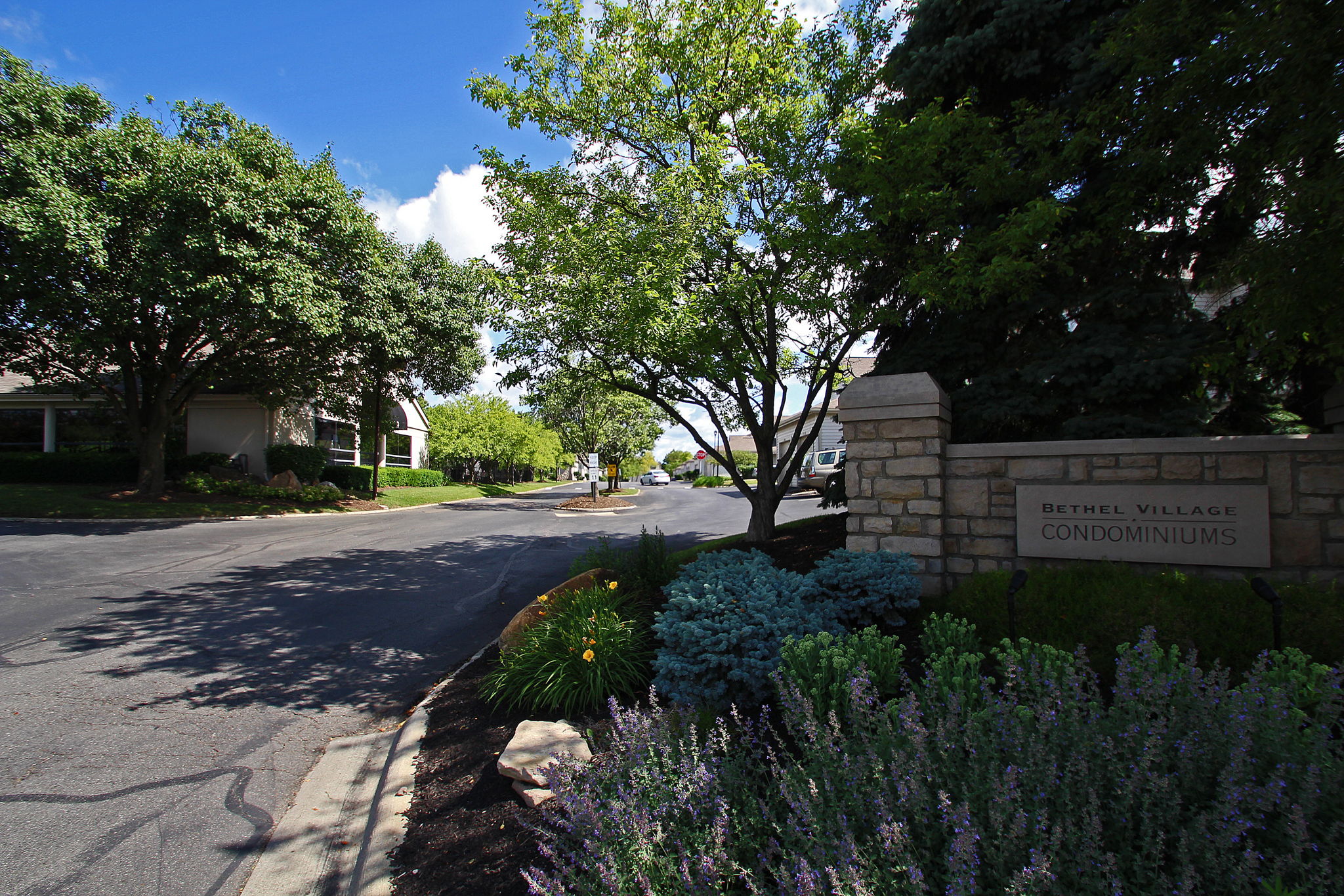 Bethel Village Subdivision Pics (5)