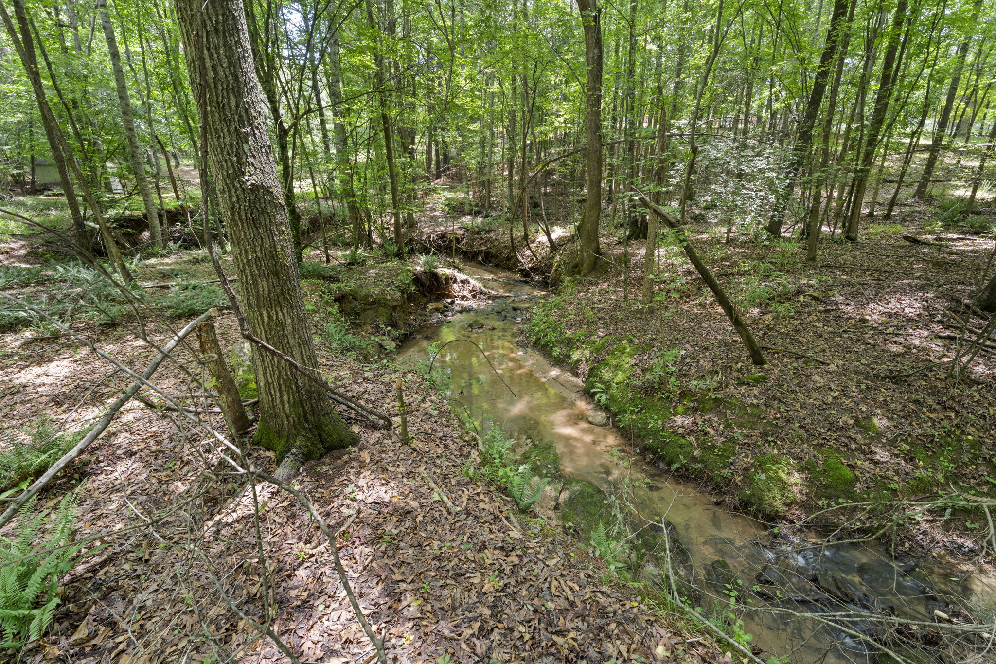 Year Round Running Creek Back of Lot