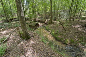 Year Round Running Creek Back of Lot