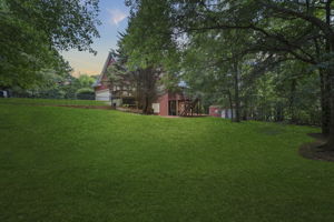Level Backyard