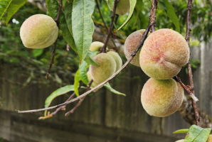  Photo 48