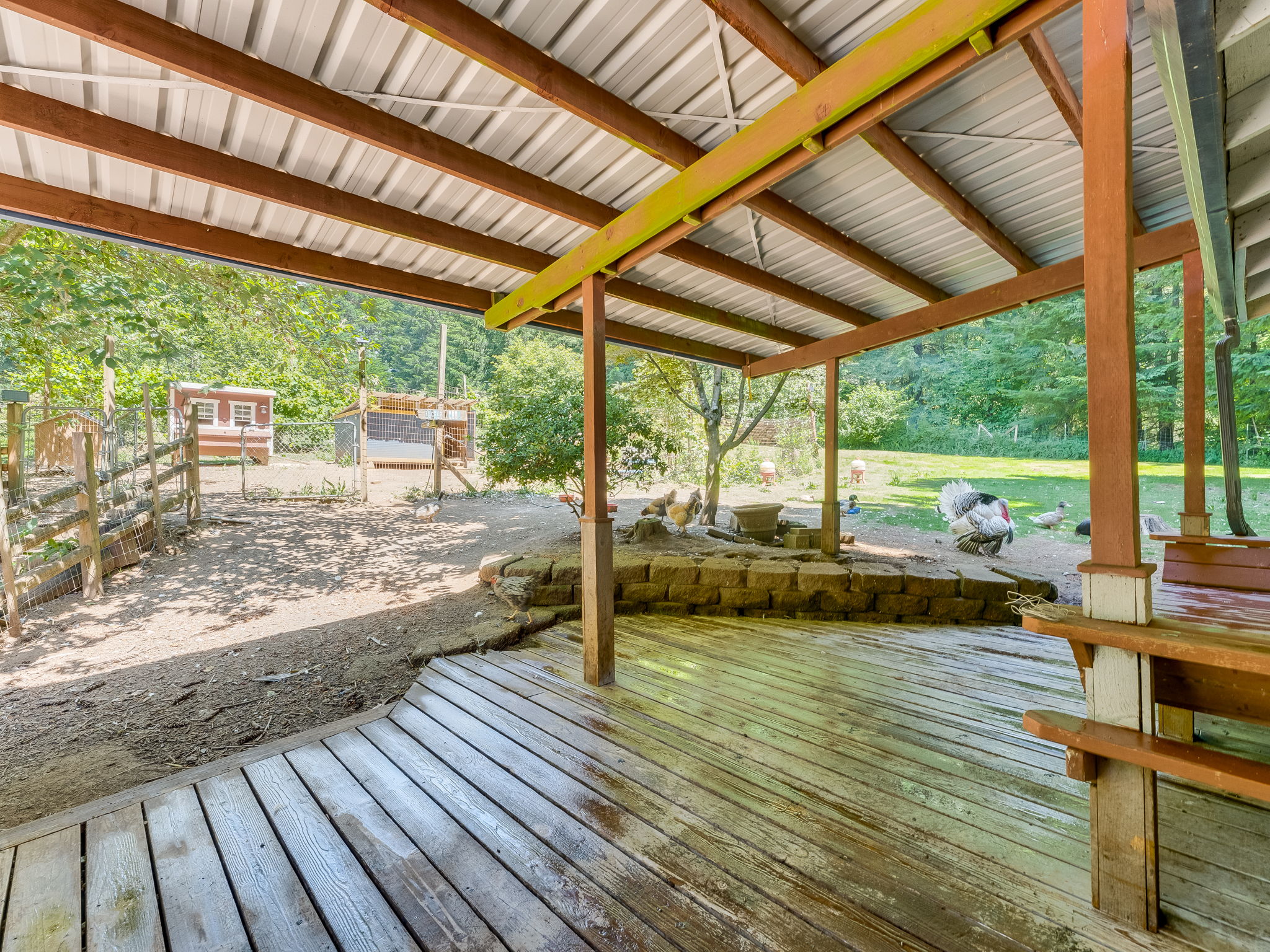  Photo 68