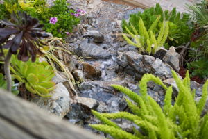 23993 Via Madrid, Murrieta Rear Yard